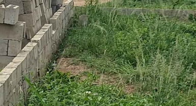 Terrain en vente a yamoussoukro 