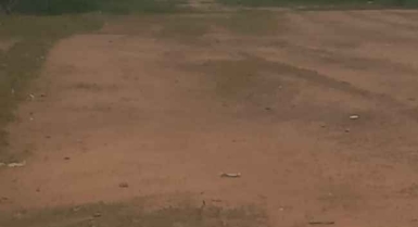 Terrain de 1200m2 en vente a yamoussoukro avec acd