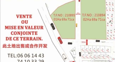 Vente ou mise en valeur conjointe de terrain 