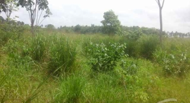 Terrain 500m² à songon kassemblè