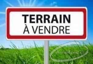 Vente de terrain