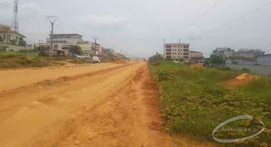 Terrain de 4ha en vente à cocody abatta carrefour abc sur la nouvelle voie