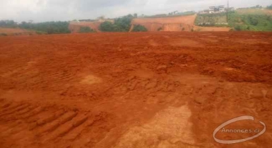 Beaux terrains de 500 m2 à cocody-angre djorogobité