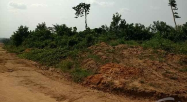 Vente de terrain 2,5 hectares sur l'autoroute dans le sens yakro-abidjan