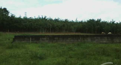 Terrain 520 m2 a yopougon songon