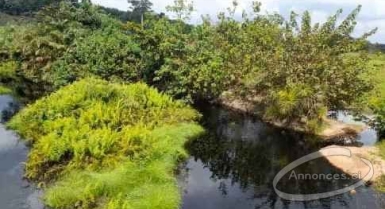 Offres plage privée en bordure de la rivière noire