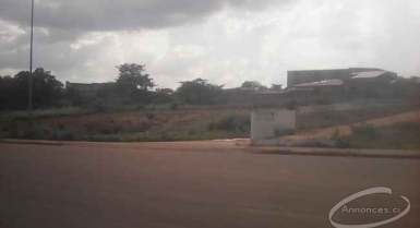 Terrain en vent a yamoussoukro dans zone d'écoles magistrat