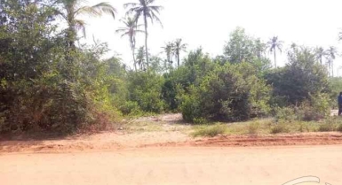 Terrain de 19 hectares