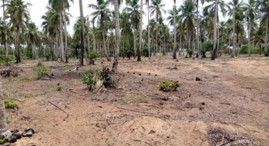 Parcelle de 2000 m² avec un forage