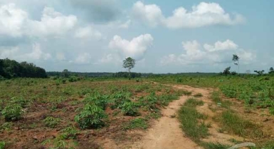 Vente de terrains à songon 