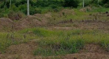 Terrain en vente à yamoussoukro vers la basilique