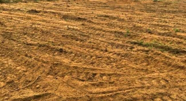 Vente de terrain à grand-bassam