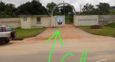 Terrain de 5ha en vente à songon brimbresso vers le collège catholique