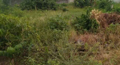 Terrain de 359m² en vente a la riviera-4 m'badon