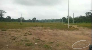 Terrain en vente à yamoussoukro sur la route de l'aéroport 