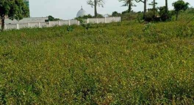 Terrain en vente à côté de la basilique notre-dame de la paix