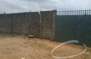 Un lot de 687m² a la riviera