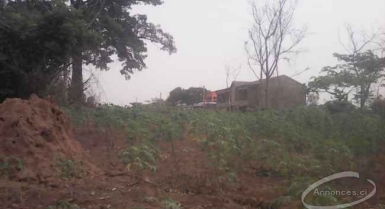 Terrain de 600m² en vente à yamoussoukro kami
