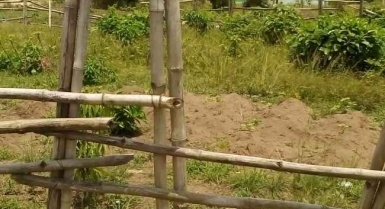 Terrain de 590m2 très bien situé à cocody angré non loin de la cité gestoci