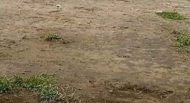 Terrains de 300m2 et 476m2 en vente à bingerville