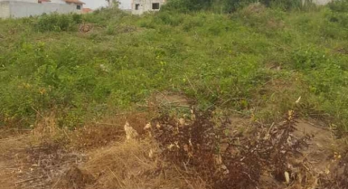 Terrains de 500 m² avec (a.c.d) a vendre 