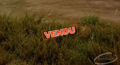 Terrain en vente