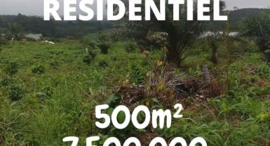 Vente de terrain à bingerville