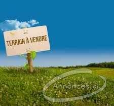 Vente de terrain sur l'autoroute du nord non loin de brassivoire
