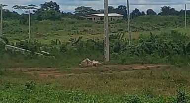 Terrain en vente à yamoussoukro voie de l'aÉroport 