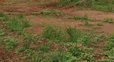 Terrain en vente à yamoussoukro avec un acd global