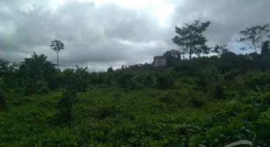 Beau terrain en vente a bassam