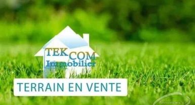 Terrain en vente a yamoussoukro 