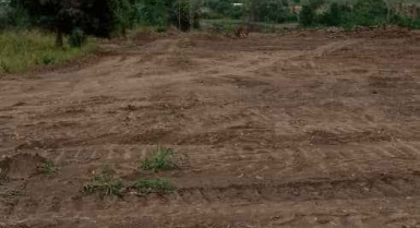 Hectare en vente à yamoussoukro