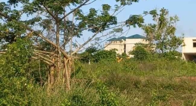 Terrain en vente à yamoussoukro