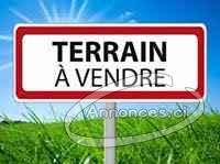 Vente de terrain assinie