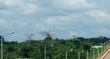 Abengourou en bordure de grande voie vente parcelle 5ha( tf)