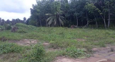 Vente de terrain entre bassam et yaou