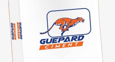 Ciment guepard 42.5 r
