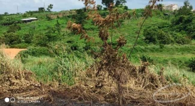 Vente de terrains à motobé