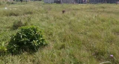 Vente de terrain approuvé à bingerville