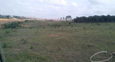 Vente de terrains bingerville près de la cité feh kesse