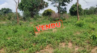 Terrains en vente a yamoussoukro kami