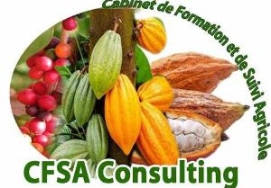 LOGO-CFSA-CONSULTING-678fdcfb1923b.jpg