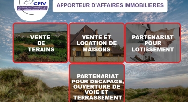 COLLIS IMMOBILIER