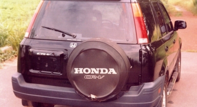 1_817699546.jpg