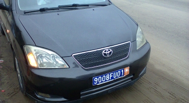 1_883359974.jpg