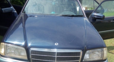 2_151262853.jpg