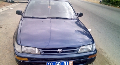 2_214625819.jpg