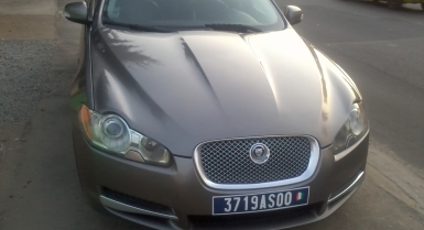 2_316968616.jpg