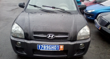 2_387424883.jpg